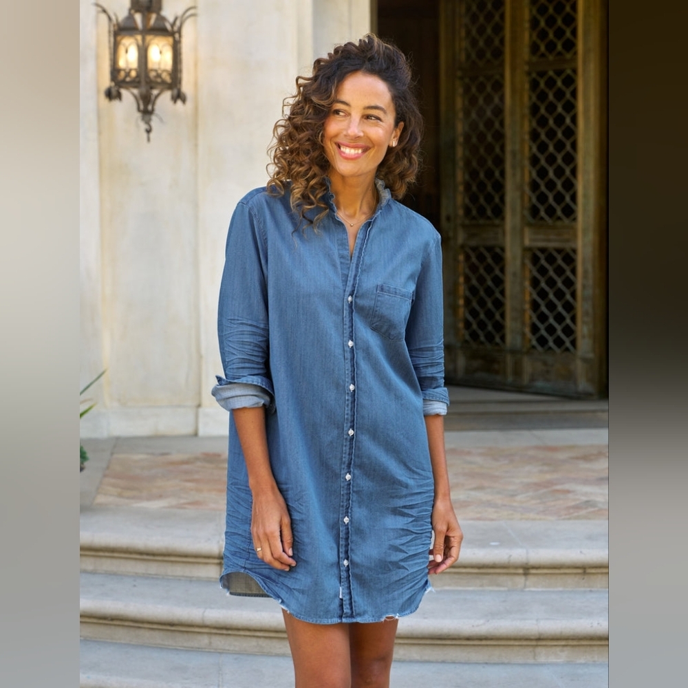 FRANK AND EILEEN - MARY RUFFLE SHIRTDRESS XS $328
